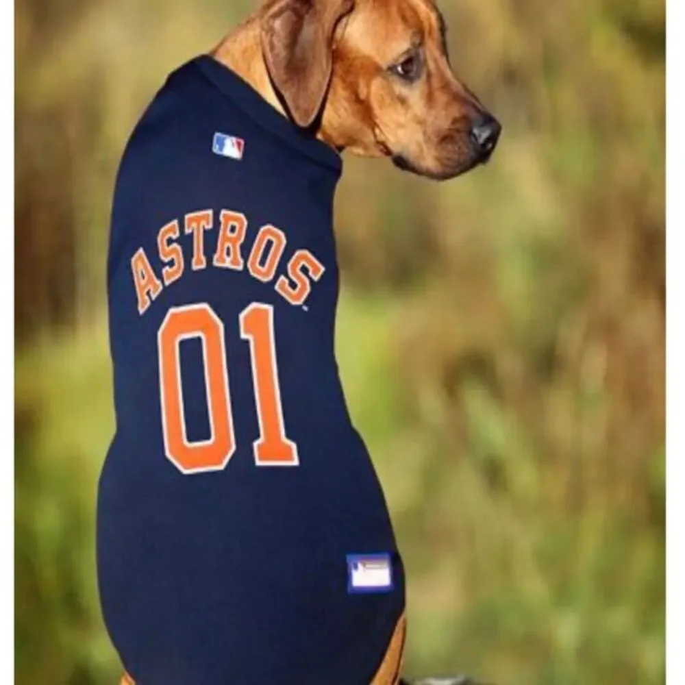 Dog Jerseys